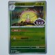 Shiinotic · 1506/07 · CBB6C · ★★ · Holo · Chinesisch vereinfacht (CHN)